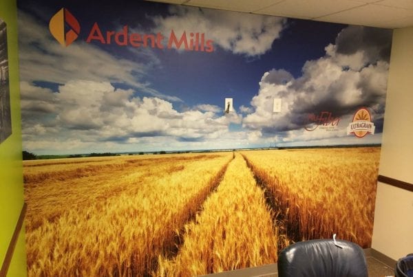 Wall Wrap Wheat
