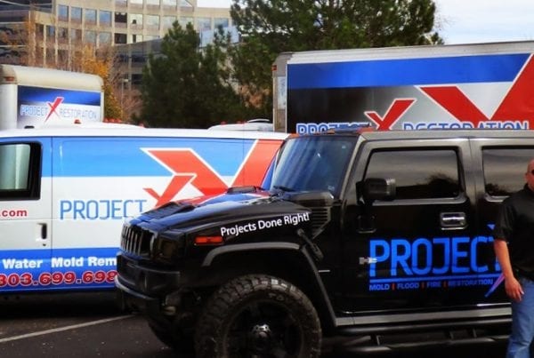 Fleet Wraps
